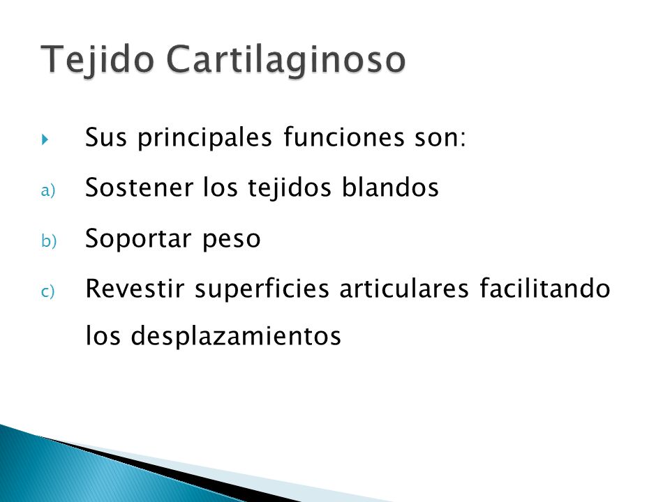 el tejido cartilaginoso y sus funciones el tejido cartilaginoso y sus funciones